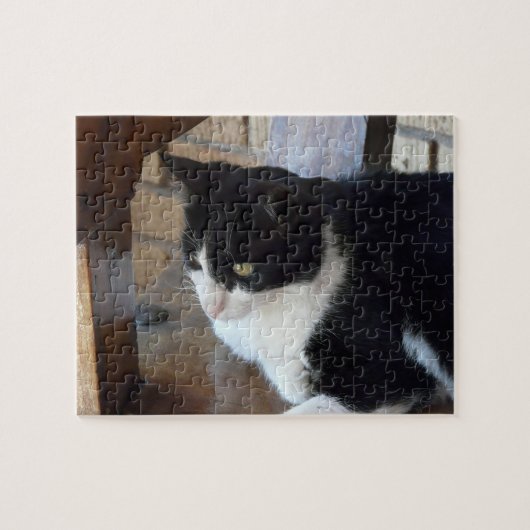 Kat-zwart en wit legpuzzel (Horizontaal)