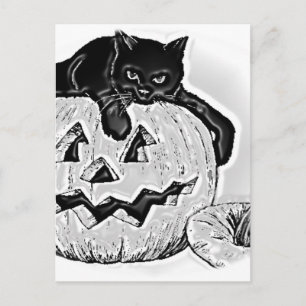 Kat Zwart Sinaasappel Pompoen Halloween Briefkaart
