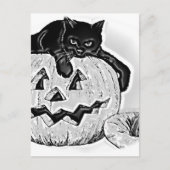 Kat Zwart Sinaasappel Pompoen Halloween Briefkaart (Voorkant)