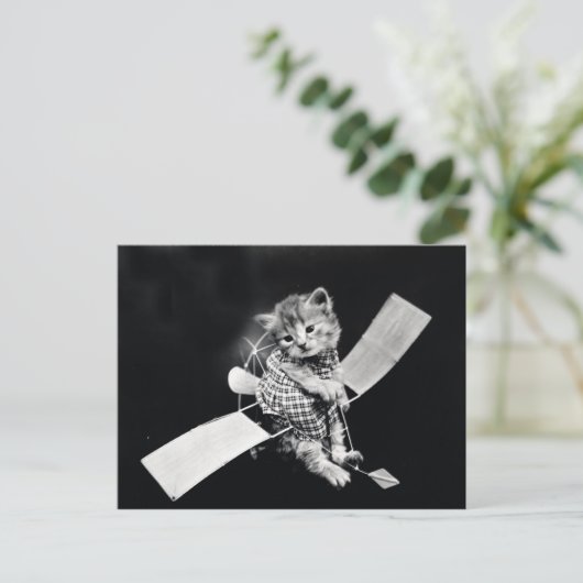 Kat  zwart-wit briefkaart (Staand voorkant)