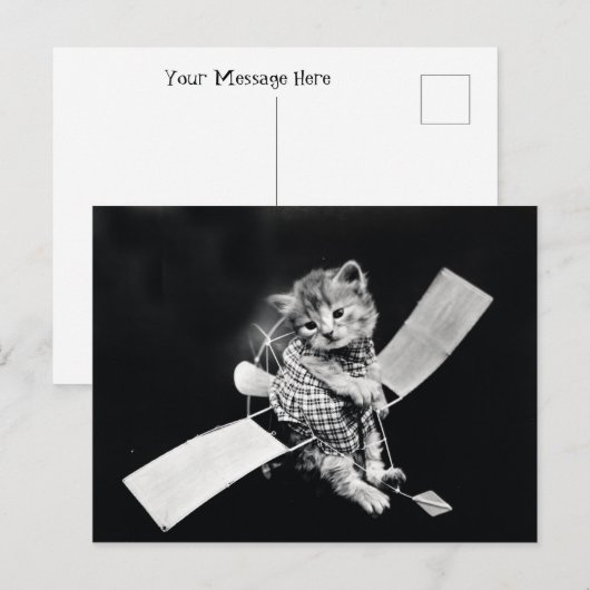 Kat zwart-wit briefkaart (Voorkant / Achterkant)