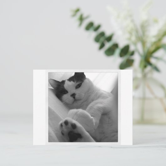 Kat zwart-wit briefkaart (Staand voorkant)