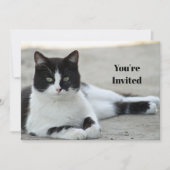 Kat Zwart-wit Tuxedo Foto Verjaardag Kaart (Voorkant)