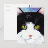 Kat zwart-wit tuxedo Maine Coon briefkaart (Voorkant / Achterkant)