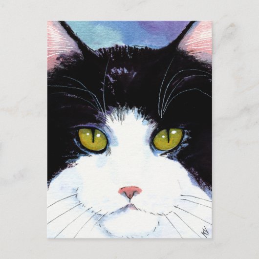 Kat zwart-wit tuxedo Maine Coon briefkaart (Voorkant)