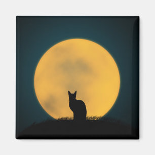 Kat zwarte kat, volle maan, halloween Animal Kitte Magneet