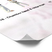 Kata Saifa - Goju Ryu versie Poster (Hoek)