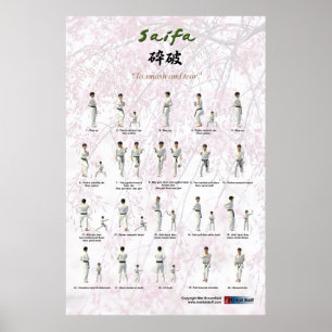 Kata Saifa - Goju Ryu versie Poster