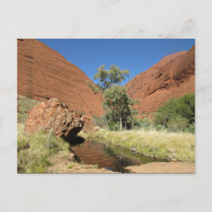 kata tjuta-boom briefkaart