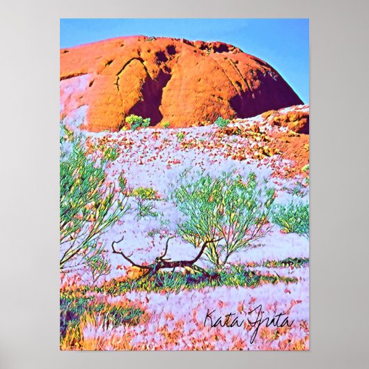 Kata Tjuta De reis van Olgas Central Australia Poster (Voorkant)