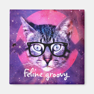 Katachtige Groovy Kat Magneet