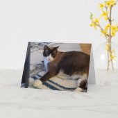 katachtige kaart (Gele Bloem)