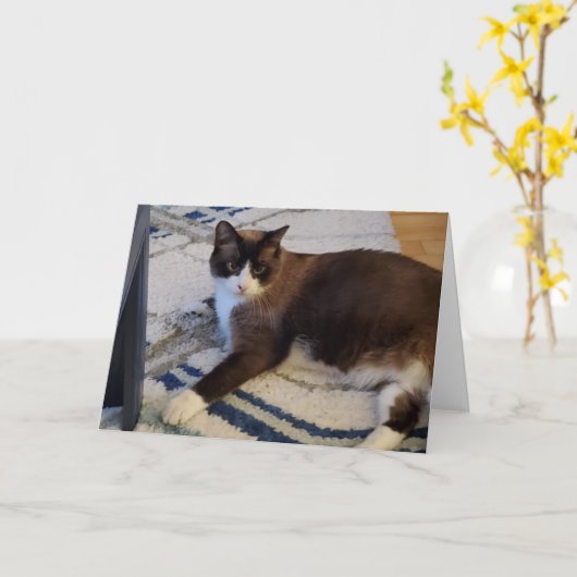 katachtige kaart (Gele Bloem)