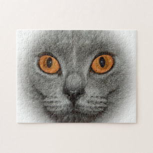 Katachtige ogen legpuzzel