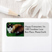 katachtige schoonheid etiket (Insitu)