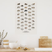 Katachtigen - Naturalist's Library Poster (Keuken)