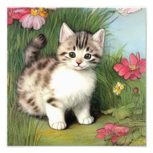 katafbeelding met rode bloemen foto afdruk