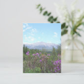 Katahdin en wilde bloemen briefkaart (Staand voorkant)