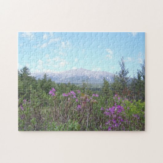 Katahdin en wilde bloemen legpuzzel (Horizontaal)
