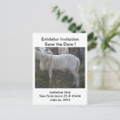 Katahin Hair Sheep Aankondigingskaart (Staand voorkant)