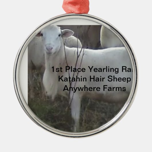 Katahin Hair Sheep Metalen Ornament (Voorkant)