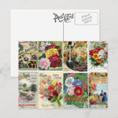  katalogi van bloemen briefkaart (Voorkant / Achterkant)