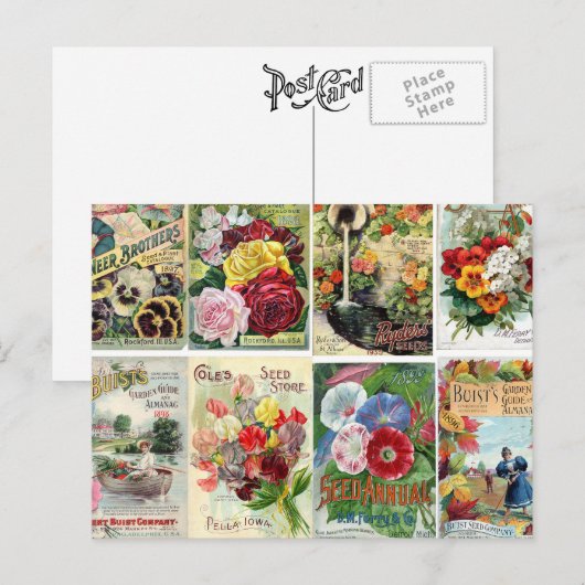  katalogi van bloemen briefkaart (Voorkant / Achterkant)