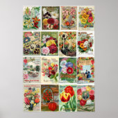  katalogi van bloemen poster (Voorkant)