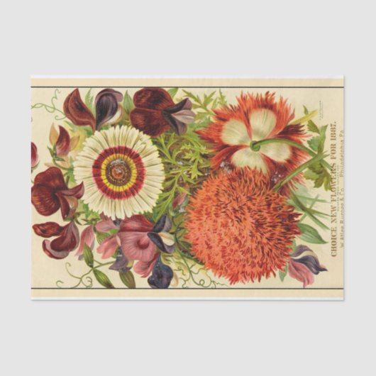  katalogus brander nieuwe bloemen 1887 tissuepapier (Voorkant)