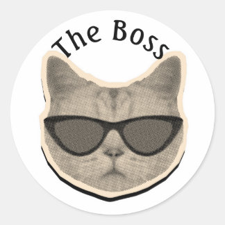 Katbaas Sticker