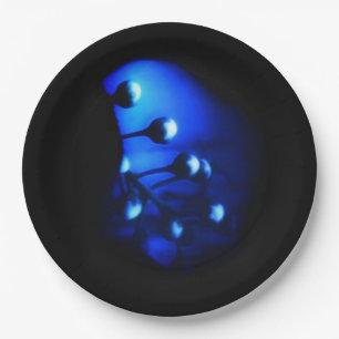 Kate Papieren Bordje