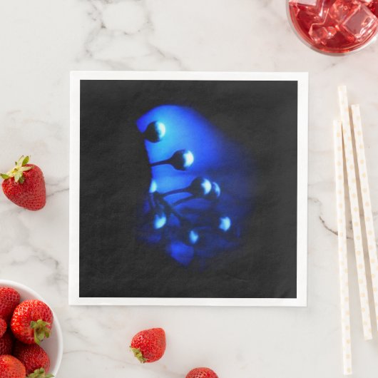 Kate Servet (Insitu)