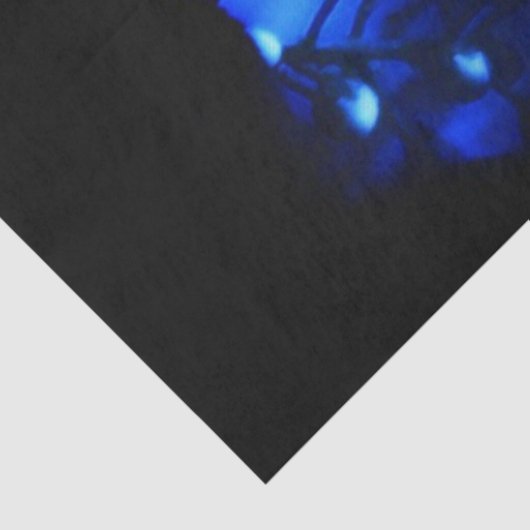 Kate Tissuepapier (Detail)