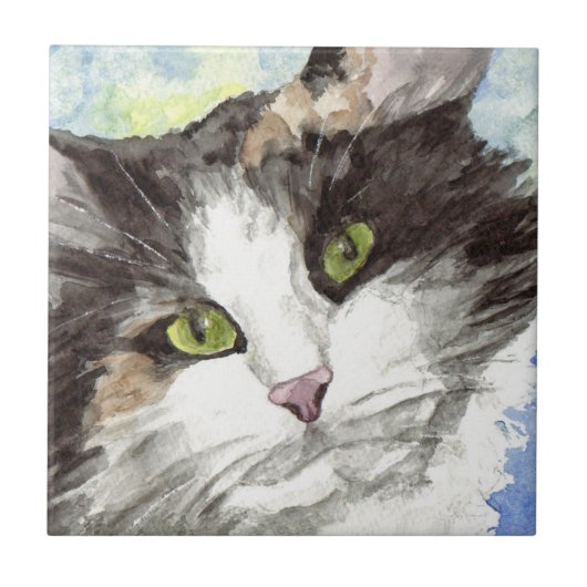 Kater Aquarel Tegeltje (Voorkant)