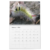 Katerijpijlers wandkalender kalender (Feb 2026)