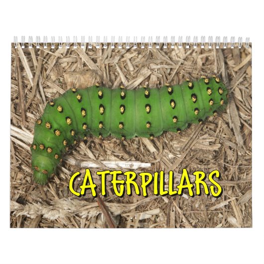 Katerijpijlers wandkalender kalender (Hoes)