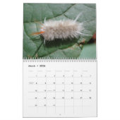 Katerijpijlers wandkalender kalender (Mar 2026)