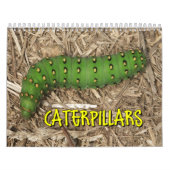 Katerijpijlers wandkalender kalender (Hoes)