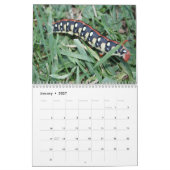 Katerijpijlers wandkalender kalender (Jan 2027)