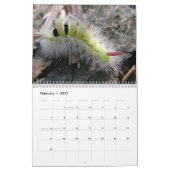 Katerijpijlers wandkalender kalender (Feb 2027)