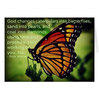 Katerijpilaren in Butterflies