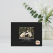 Katers Briefkaart (Staand voorkant)