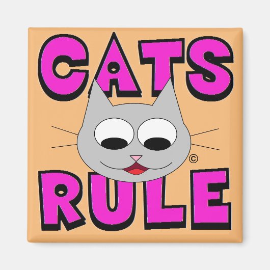KATERS HEBBEN DE OVERHAND Schattige Kattenliefhebb Magneet (Voorkant)