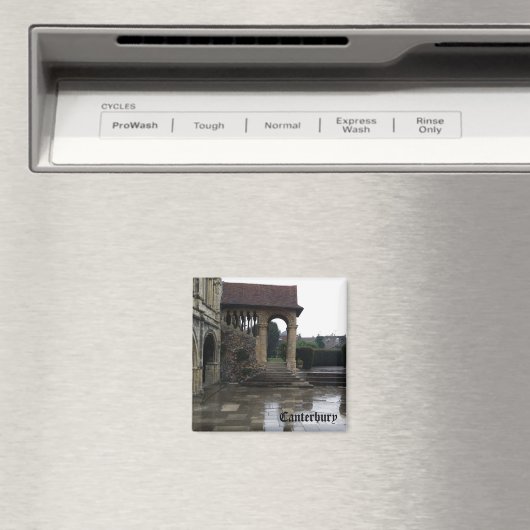 Kathedraal - Canterbury Magneet (Insitu (Vaatwasser))