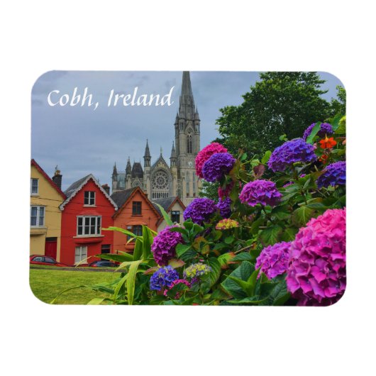 Kathedraal en bloemen Cobh Ierland Magnet Magneet (Horizontaal)
