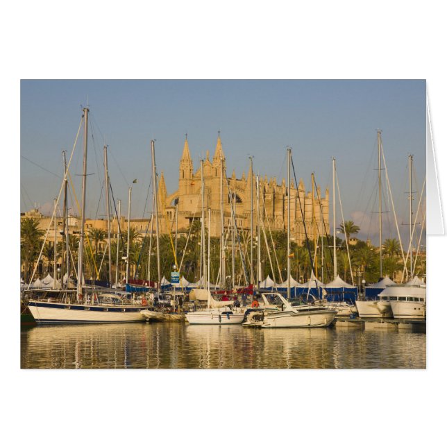 Kathedraal en marina, Palma, Mallorca, Spanje 2 (Voorkant Horizontaal)