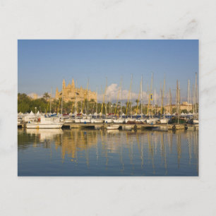 Kathedraal en marina, Palma, Mallorca, Spanje Briefkaart