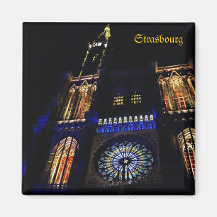 Kathedraal in Straatsburg, Frankrijk Magneet