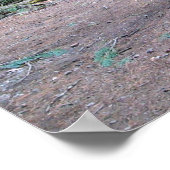 kathedraal poster (Hoek)