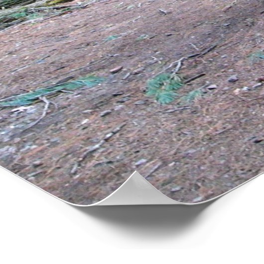 kathedraal poster (Hoek)